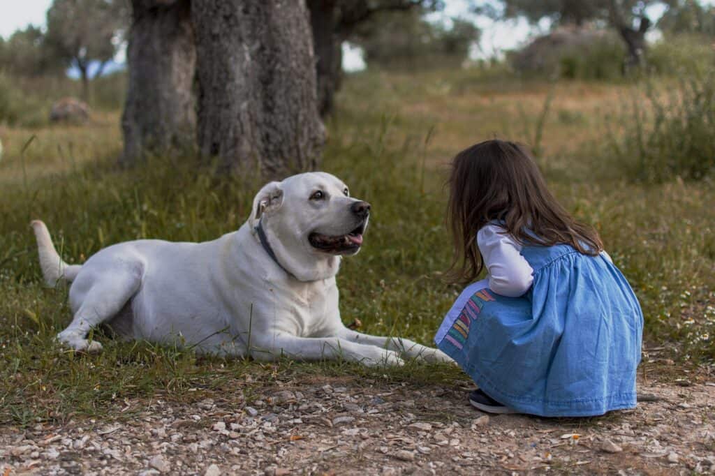 Girl with happy dog