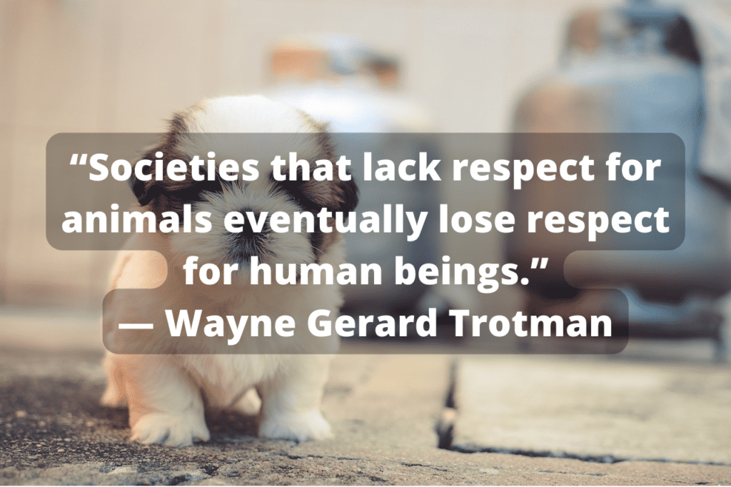 Wayne Gerard Trotman quote with puppy in background