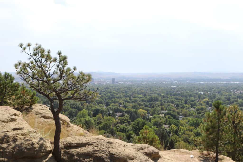 mountain view of billings, montana