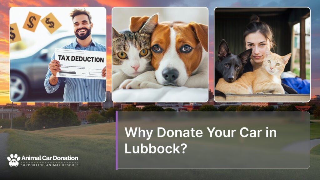 Why Donate Your Car in Lubbock?