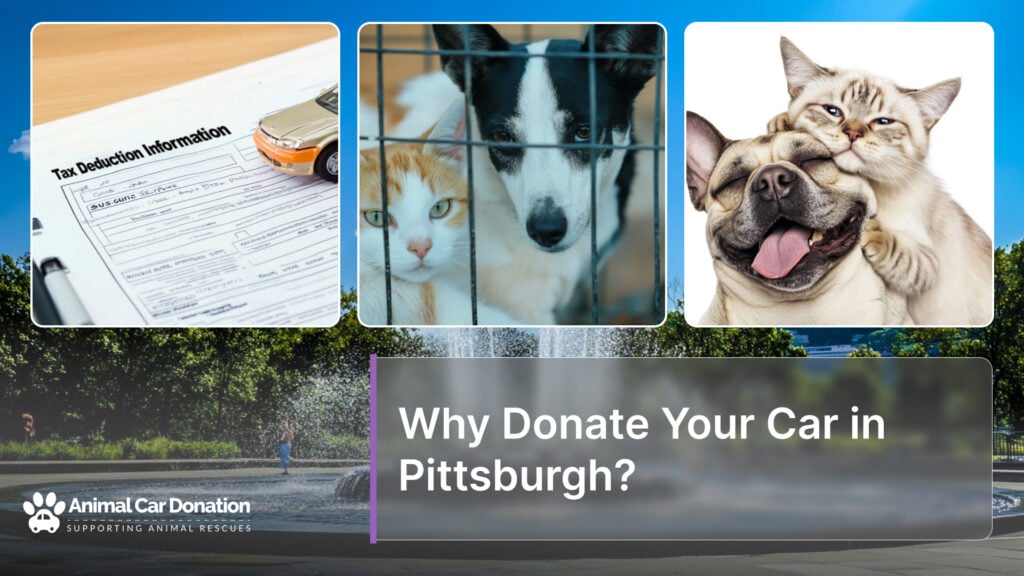 Why Donate Your Car in Pittsburgh?