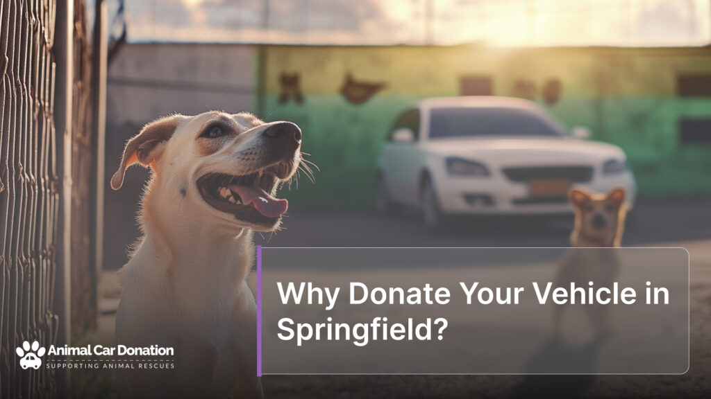 Why Donate Your Vehicle in Springfield?