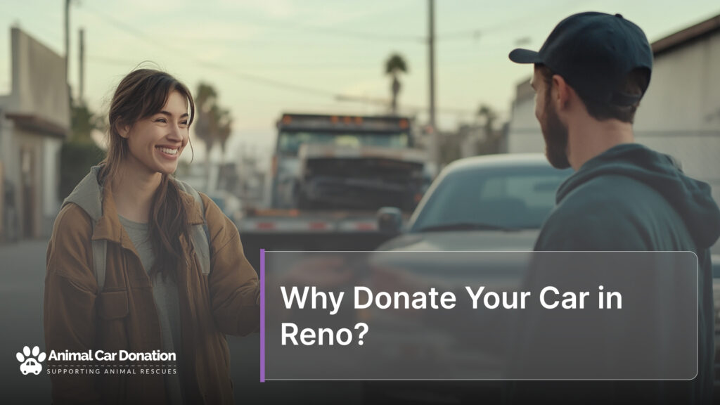 Why Donate Your Car in Reno?