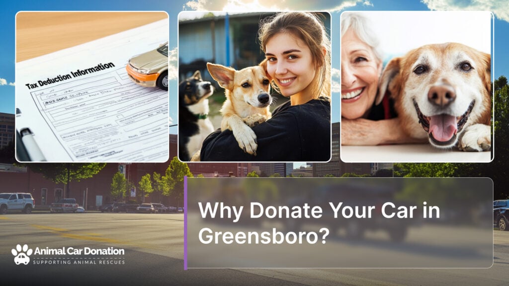 Why Donate Your Car in Greensboro?