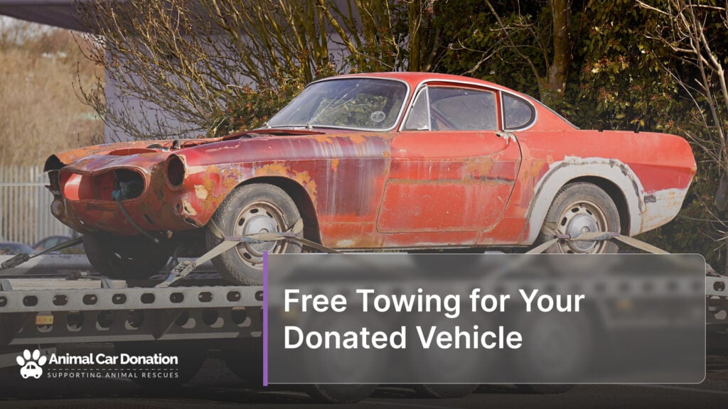 Free Towing for Your Donated Vehicle