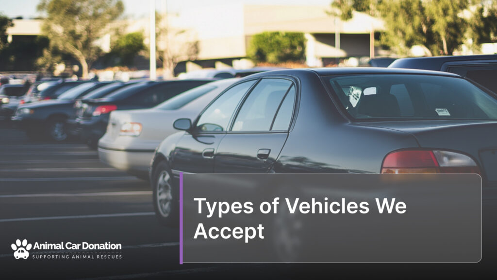 Types of Vehicles We Accept