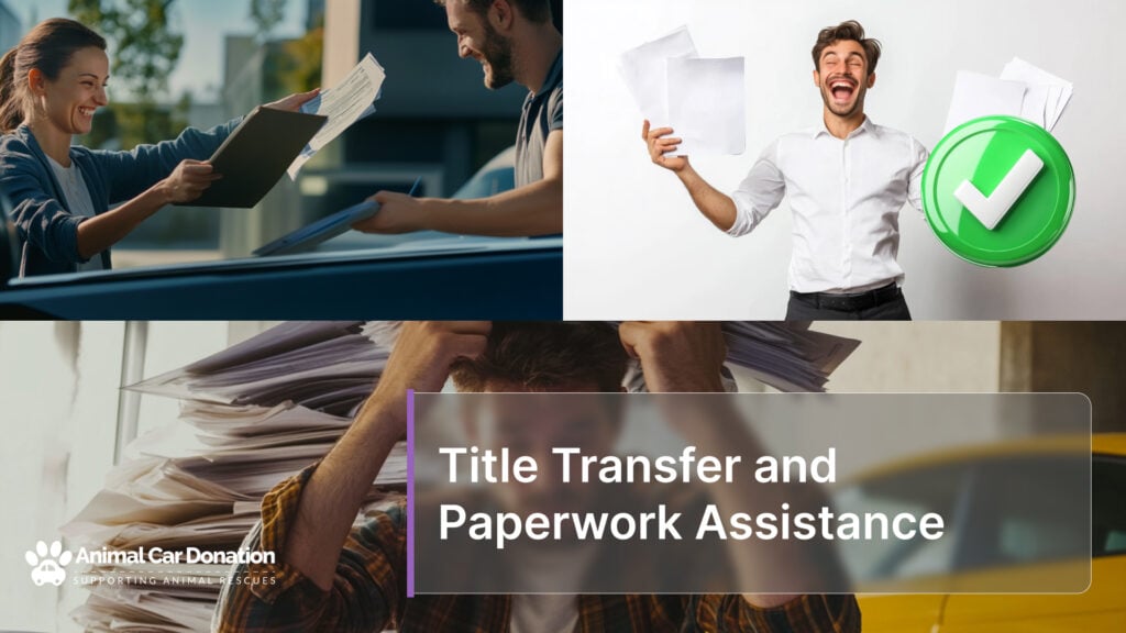 Title Transfer and Paperwork Assistance