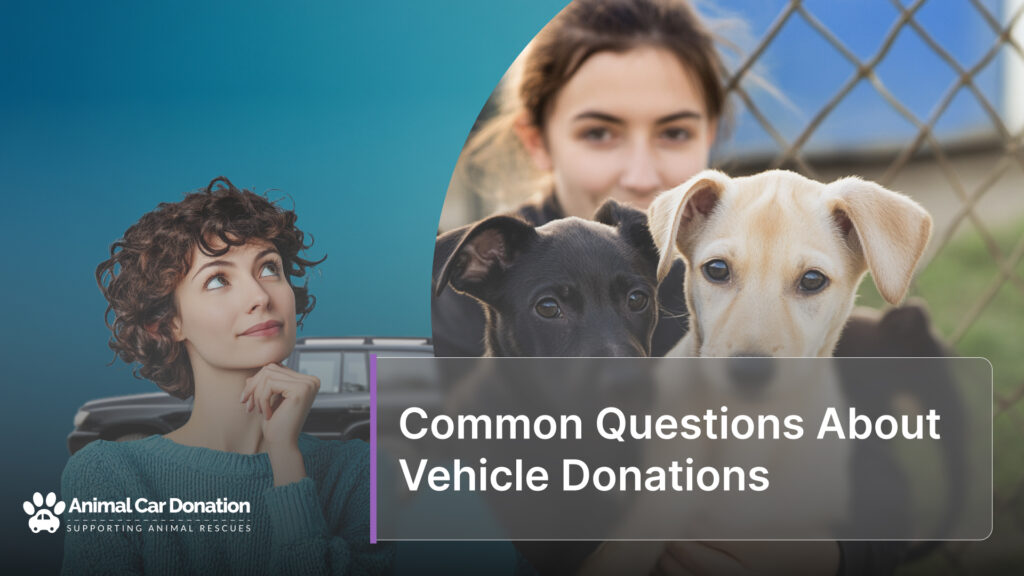 Common Questions About Vehicle Donations