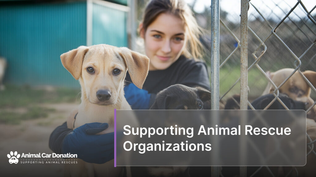 Supporting Animal Rescue Organizations