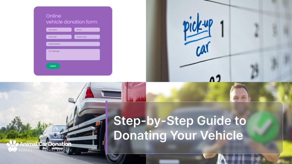 Step-by-Step Guide to Donating Your Vehicle