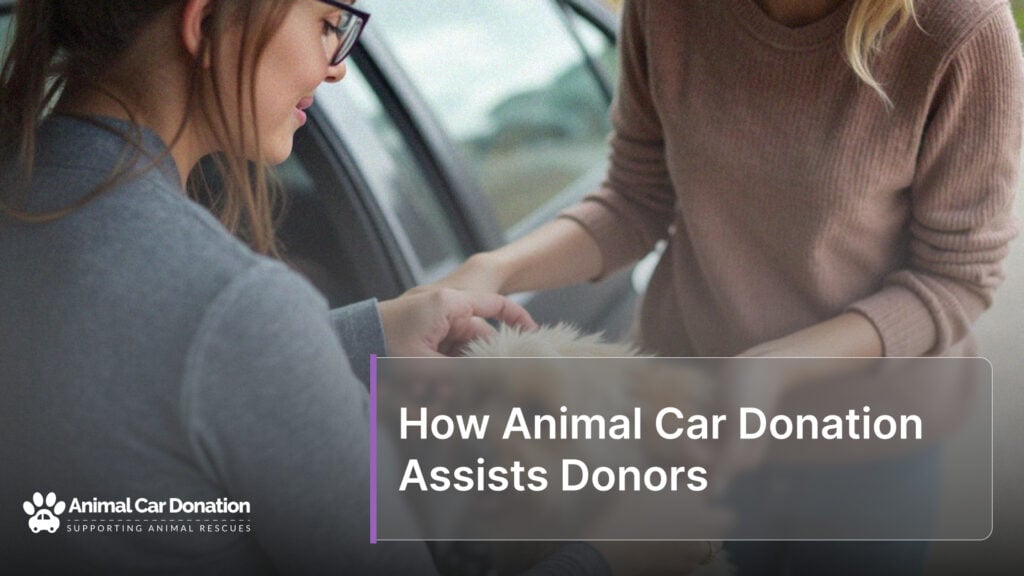 How Animal Car Donation Assists Donors