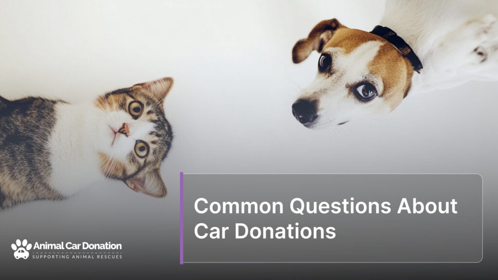 Common Questions About Car Donations