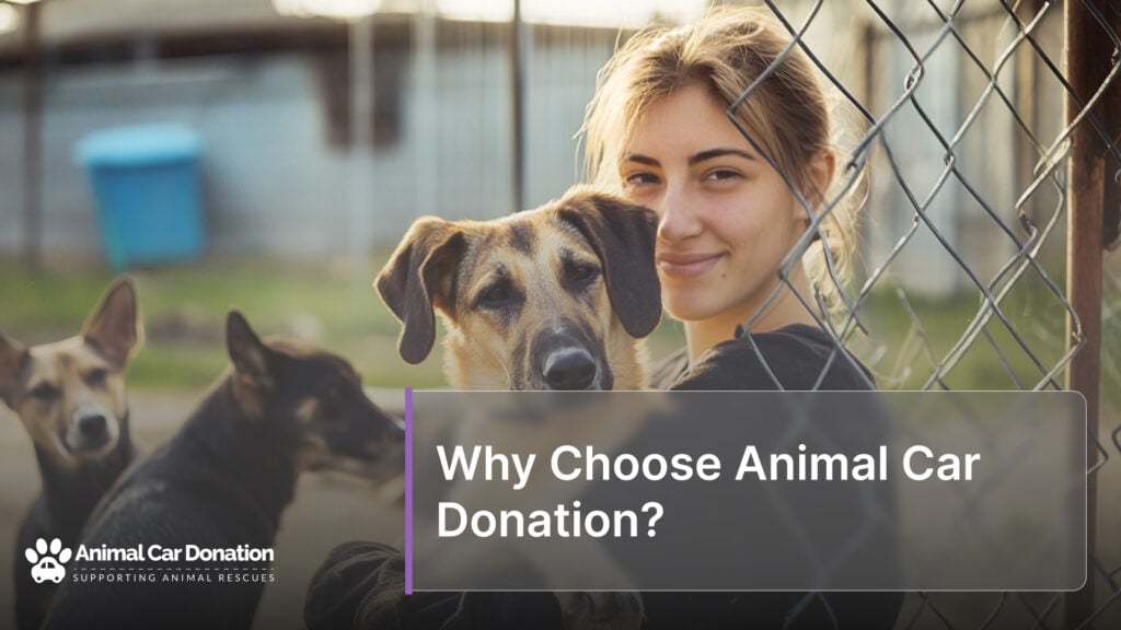 Why Choose Animal Car Donation?