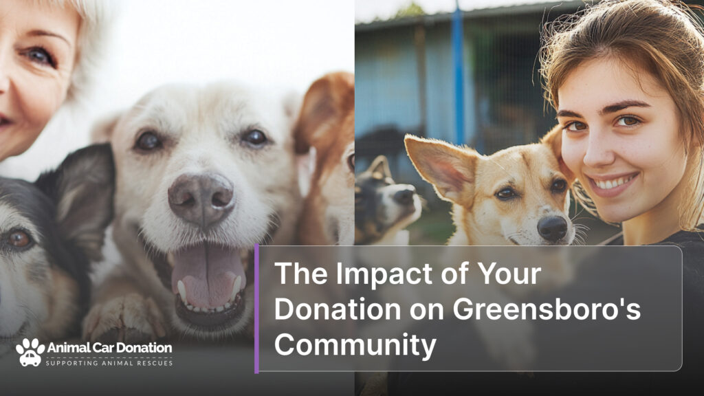 The Impact of Your Donation on Greensboro's Community