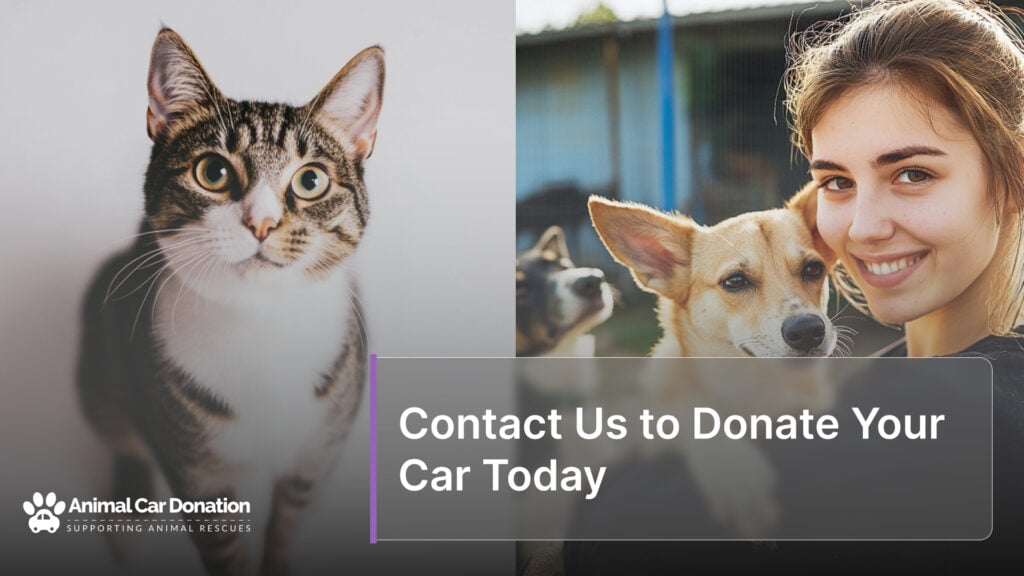 Contact Us to Donate Your Car Today