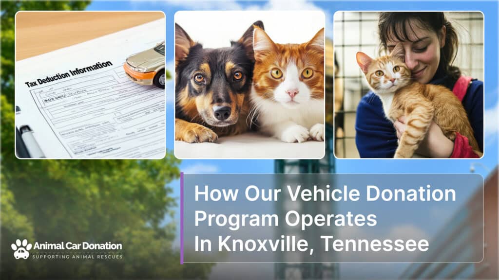 How Our Vehicle Donation Program Operates In Knoxville, Tennessee