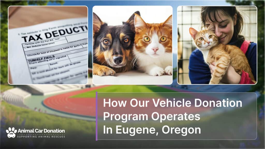 How Our Vehicle Donation Program Operates In Eugene, Oregon