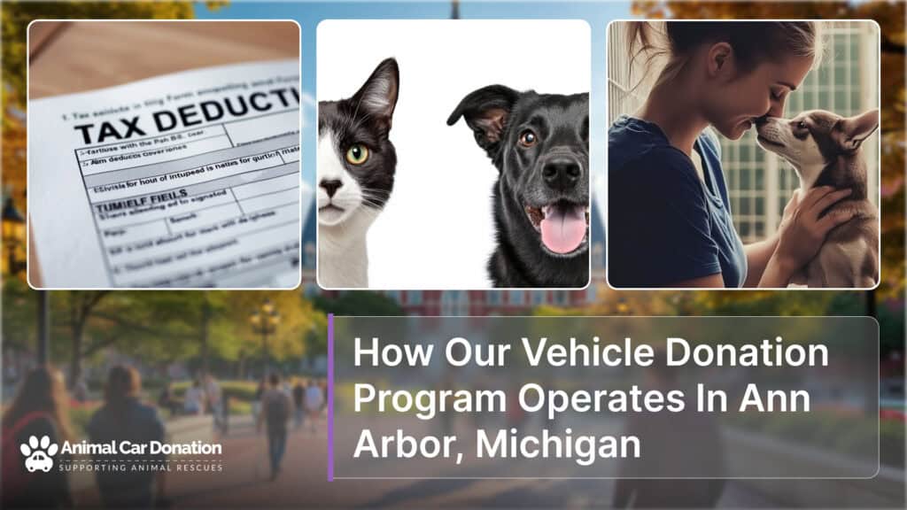 How Our Vehicle Donation Program Operates In Ann Arbor, Michigan