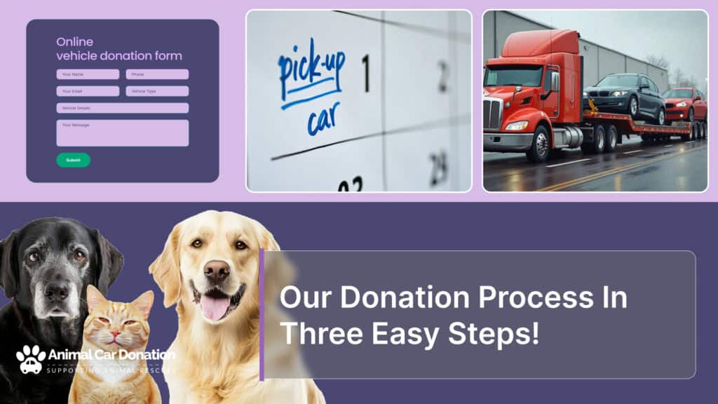 Our Donation Process In Three Easy Steps!