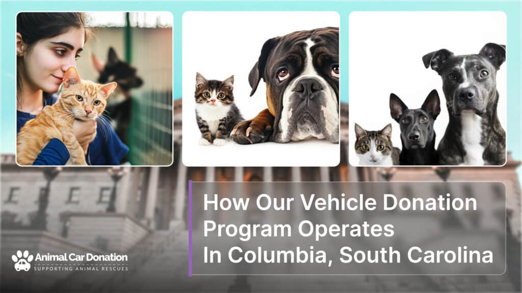 How Our Vehicle Donation Program Operates In Columbia, South Carolina