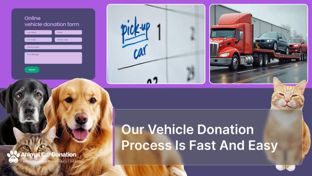 Our Vehicle Donation Process Is Fast And Easy