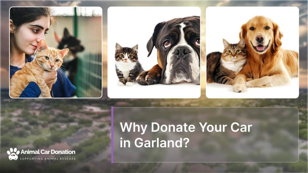 Why Donate Your Car in Garland?