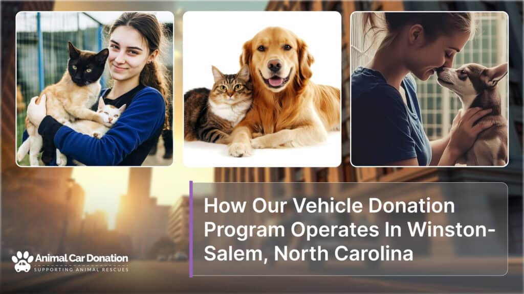 How Our Vehicle Donation Program Operates In Winston-Salem, North Carolina