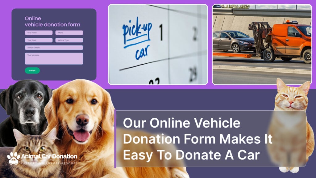 Our Online Vehicle Donation Form Makes It Easy To Donate A Car