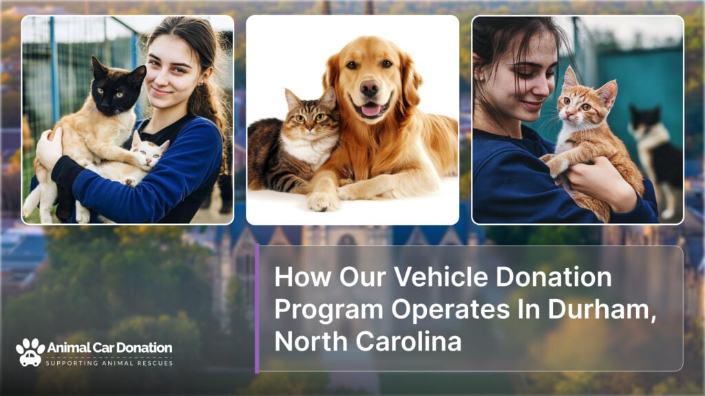 How Our Vehicle Donation Program Operates In Durham, North Carolina