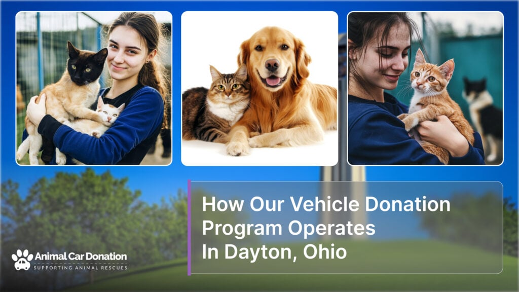 How Our Vehicle Donation Program Operates In Dayton, Ohio