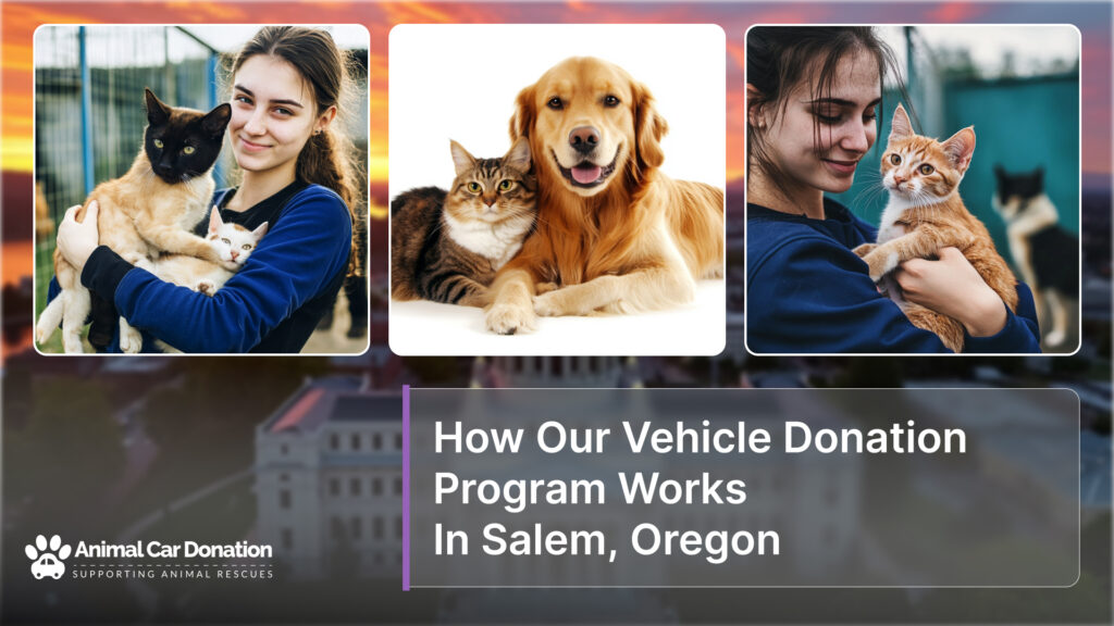 How Our Vehicle Donation Program Works In Salem, Oregon