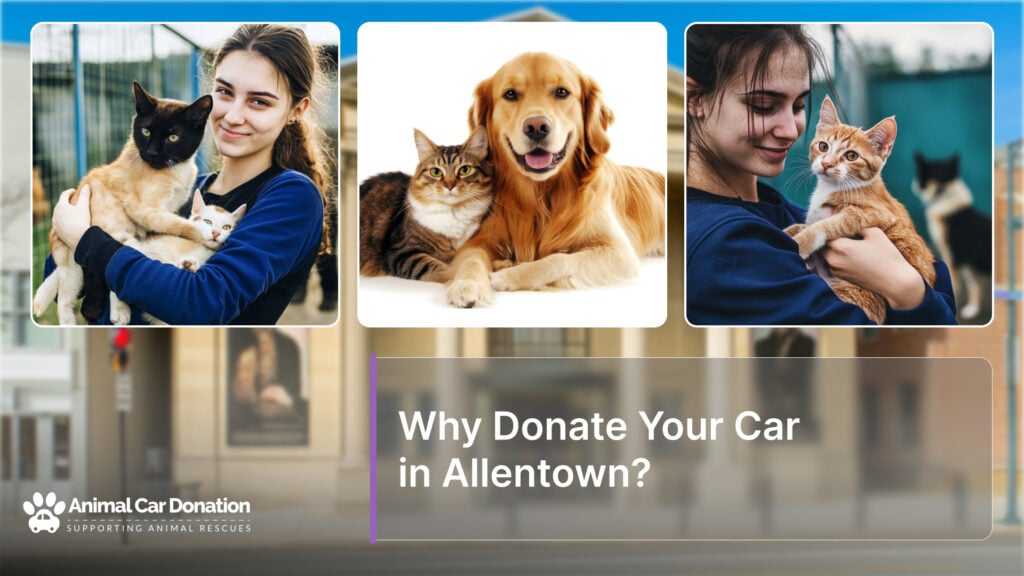 Why Donate Your Car in Allentown?