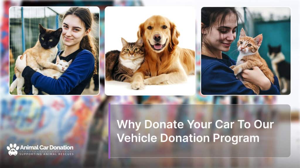 Why Donate Your Car To Our Vehicle Donation Program