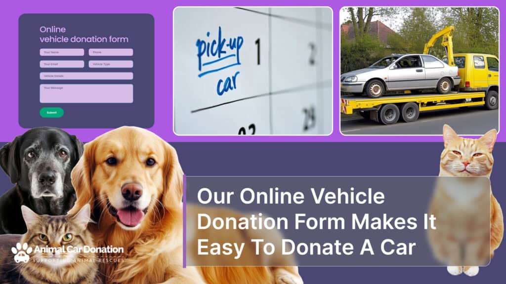 Our Online Vehicle Donation Form Makes It Easy To Donate A Car