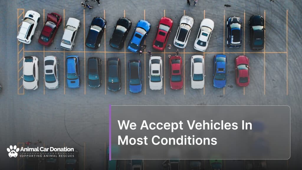 We Accept Vehicles In Most Conditions