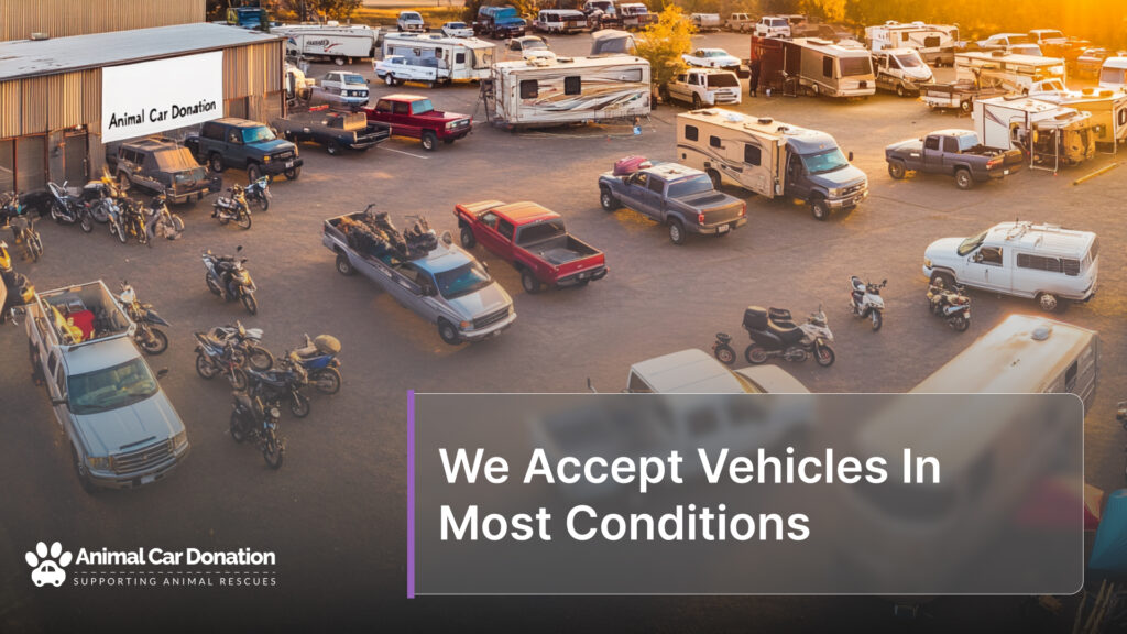 We Accept Vehicles In Most Conditions