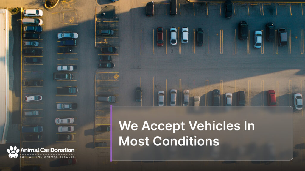 We Accept Vehicles In Most Conditions