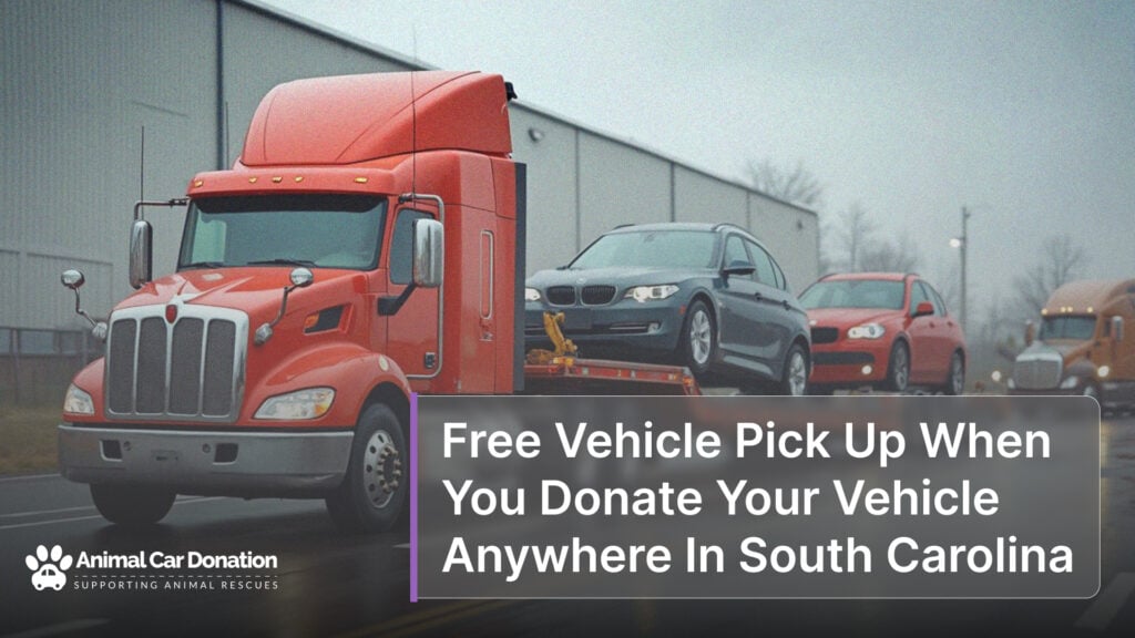 Free Vehicle Pick Up When You Donate Your Vehicle Anywhere In South Carolina