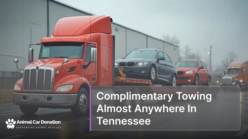 Complimentary Towing Almost Anywhere In Tennessee