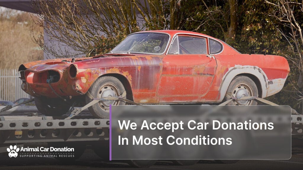 We Accept Car Donations In Most Conditions