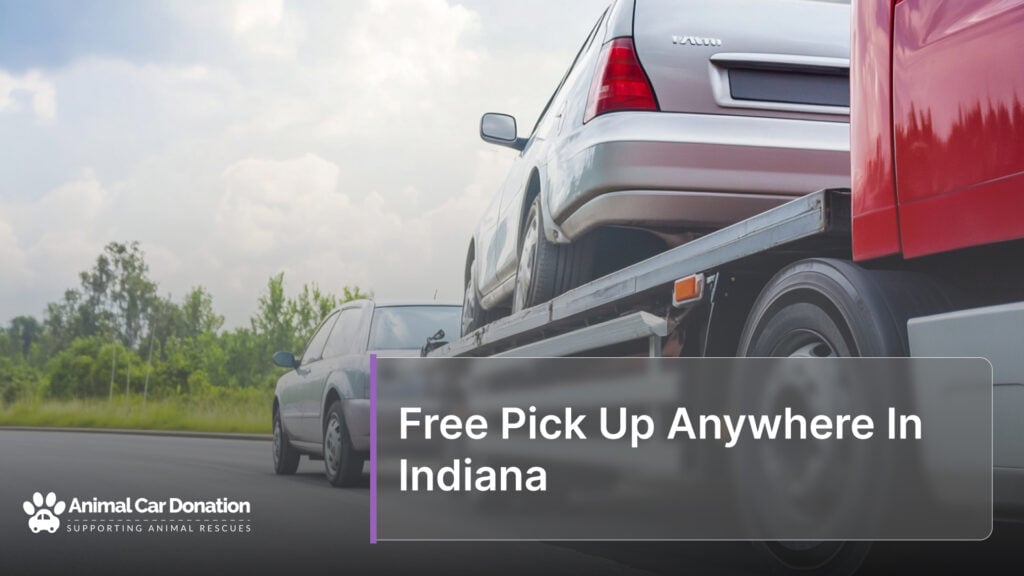 Free Pick Up Anywhere In Indiana