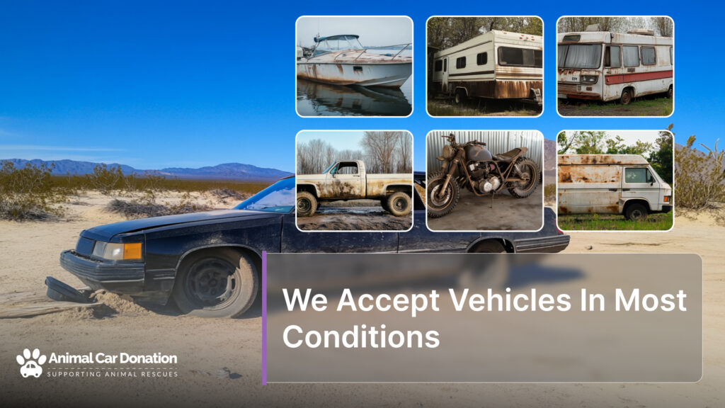 We Accept Vehicles In Most Conditions