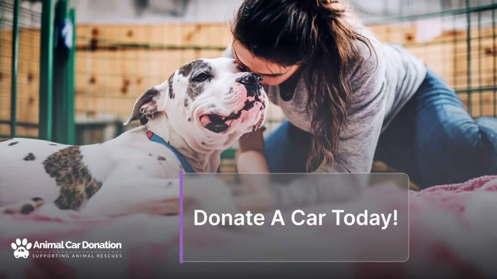 Donate A Car Today!