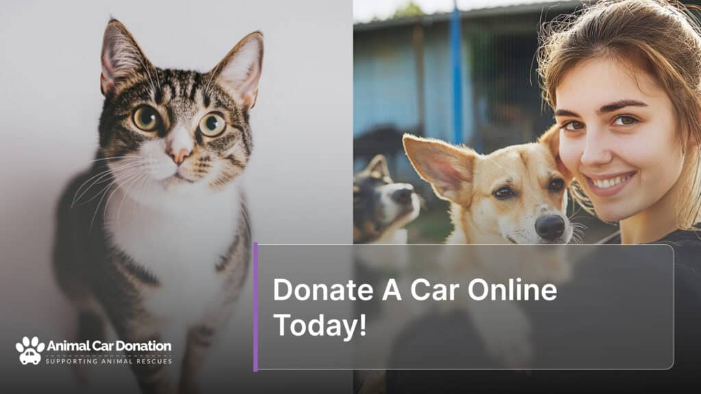 Donate A Car Online Today!