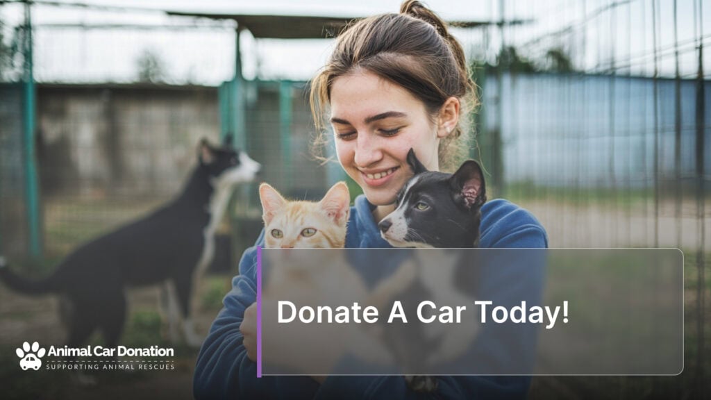 Donate A Car Today!