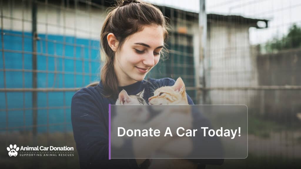 Donate A Car Today!