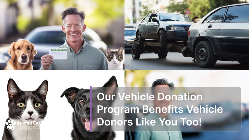 Our Vehicle Donation Program Benefits Vehicle Donors Like You Too!