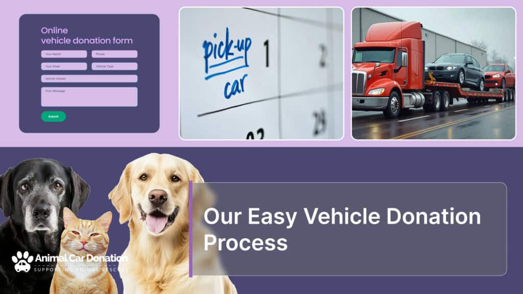 Our Easy Vehicle Donation Process