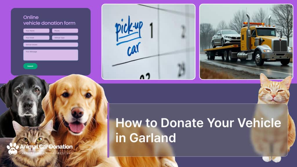 How to Donate Your Vehicle in Garland