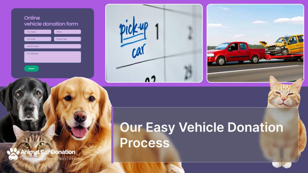 Our Easy Vehicle Donation Process